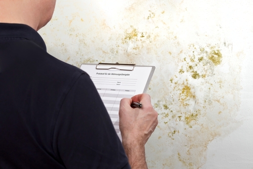 Call for more regulation over damp and mould in homes